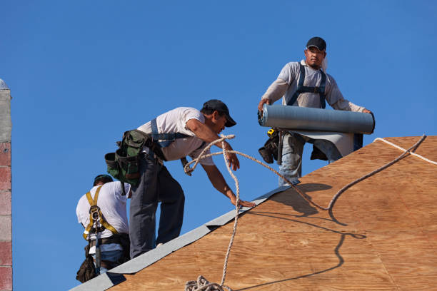 Best Roof Waterproofing Services  in Edgerton, MN